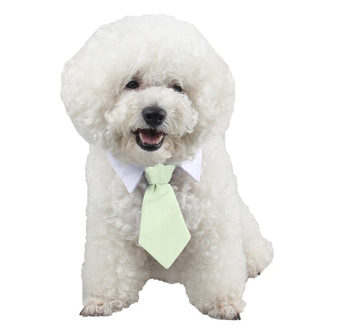 [MPK Cat Ties] Cute Pet Ties, Dog Collar Cat Collar, Pet Bow Ties, Dog Tie, Smart-Looking Pet Costume