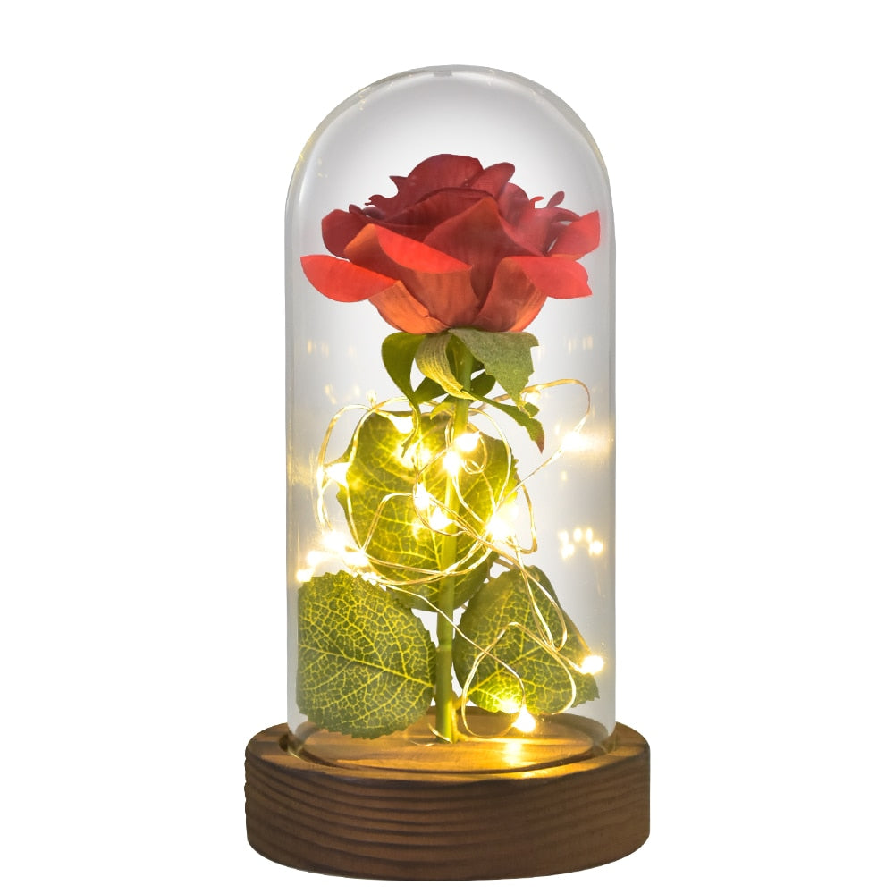 Gifts for Women Beauty and The Beast Preserved Roses In Glass Galaxy Rose LED Light Artificial Flower Birthday Gift for Girls