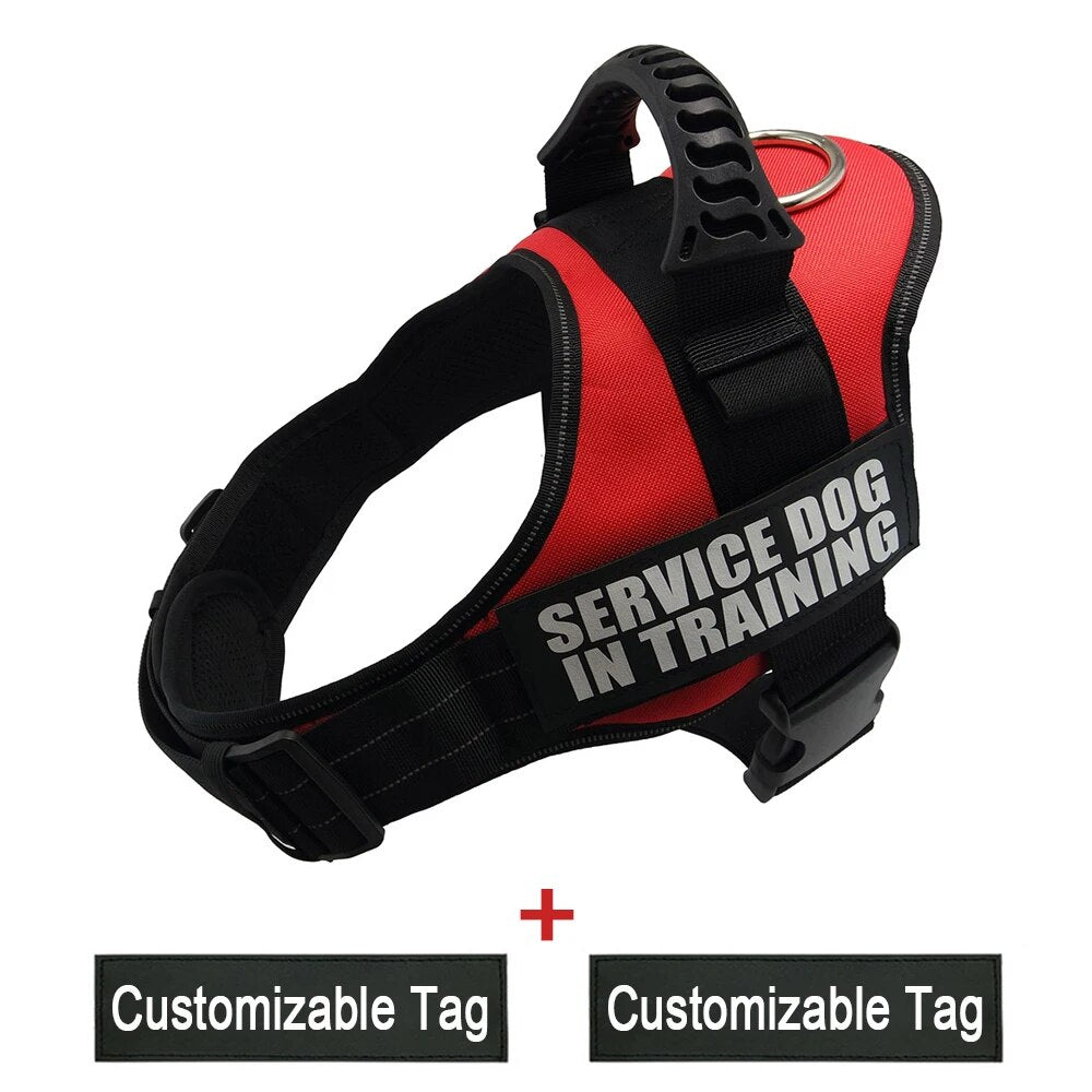 Reflective Adjustable Dog Nylon Harnesses with Customizable Name Labels Dog Vest Strap for Large Medium Small Dogs Drop-Shipping