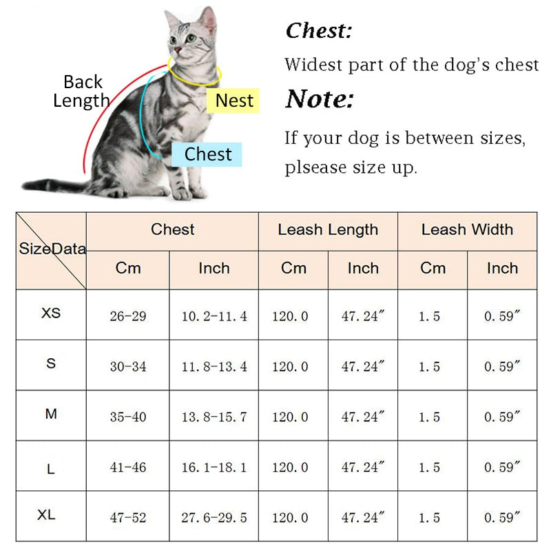 Fashion Plaid Cat Harnesses for Cats Summer Mesh Pet Harness and Leash Set Katten Kitty Mascotas Products for Gotas Accessories