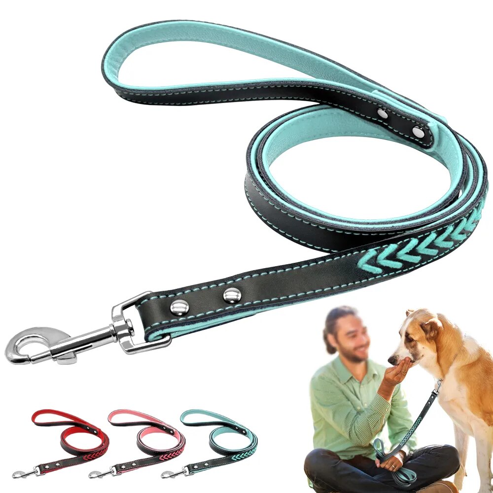 Engraved Leather Dog Collar Braided Persoanzled ID tag Collars Nameplate Customized Pet Collar Leather Pet Walking Leash Leads