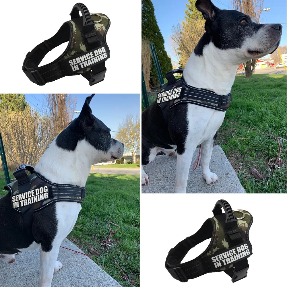 Reflective Adjustable Dog Nylon Harnesses with Customizable Name Labels Dog Vest Strap for Large Medium Small Dogs Drop-Shipping