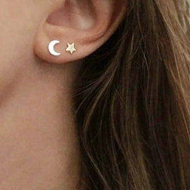 Stainless Steel Animal Heart Star Moon Stud Earrings for Women Korean Minimalist Earrings Jewelry Accessories Dropshipping