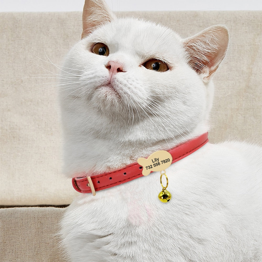 Cute Cat Personalized ID Collar Engraved  Kitten Puppy Name Collars Necklace For Small Medium Cats With Bell Fish Tag Nameplate