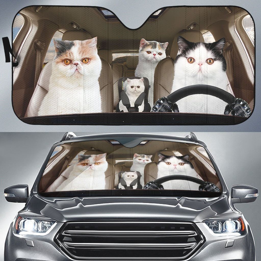 Black Cat Car Sunshade, Black Cat Gift, Black Cat Car Decoration, Cat Seat Cover, Gift for Father, Automatic Sun Shade