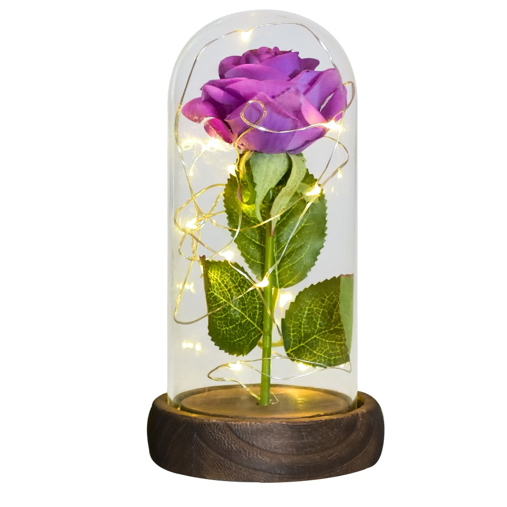 Gifts for Women Beauty and The Beast Preserved Roses In Glass Galaxy Rose LED Light Artificial Flower Birthday Gift for Girls