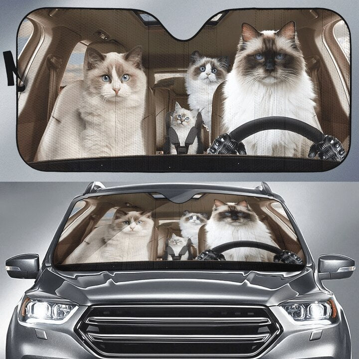 Black Cat Car Sunshade, Black Cat Gift, Black Cat Car Decoration, Cat Seat Cover, Gift for Father, Automatic Sun Shade