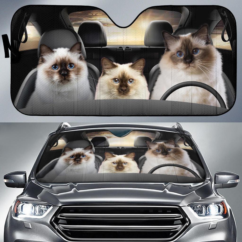 Black Cat Car Sunshade, Black Cat Gift, Black Cat Car Decoration, Cat Seat Cover, Gift for Father, Automatic Sun Shade