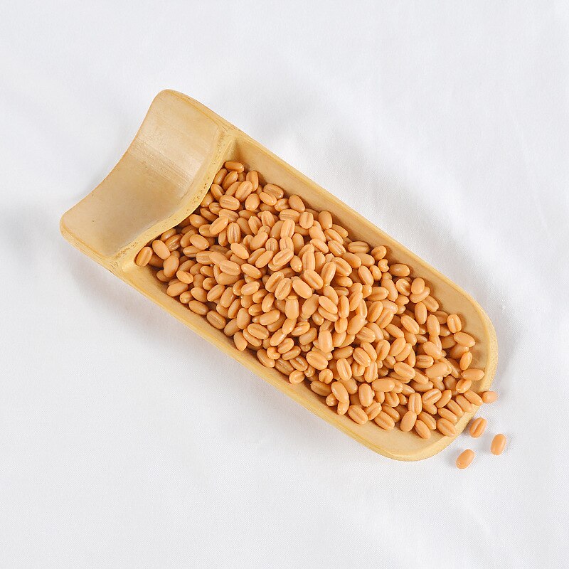 100g/Bag Simulation Fake Rice Plastic Five Grains Miscellaneous Grains Display Props Kitchen Cabinet Decor Photography Props