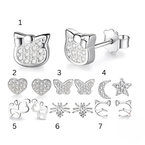 Silver Variuos Design Stud Earings trend special design.