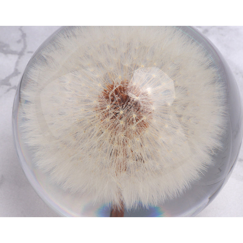 Dandelion crystal ball