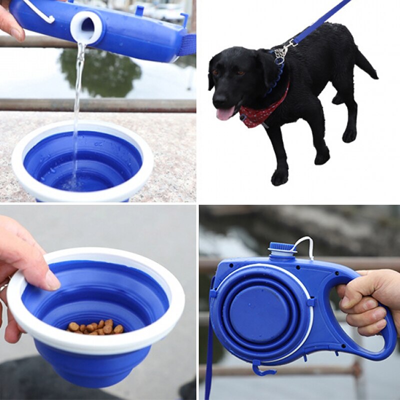 2 in 1 Dog Leash