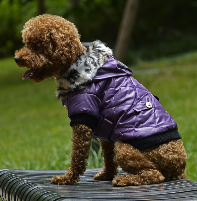 Cross-border pet supplies pet clothes dog clothes autumn and winter fur collar coat pet dog clothing