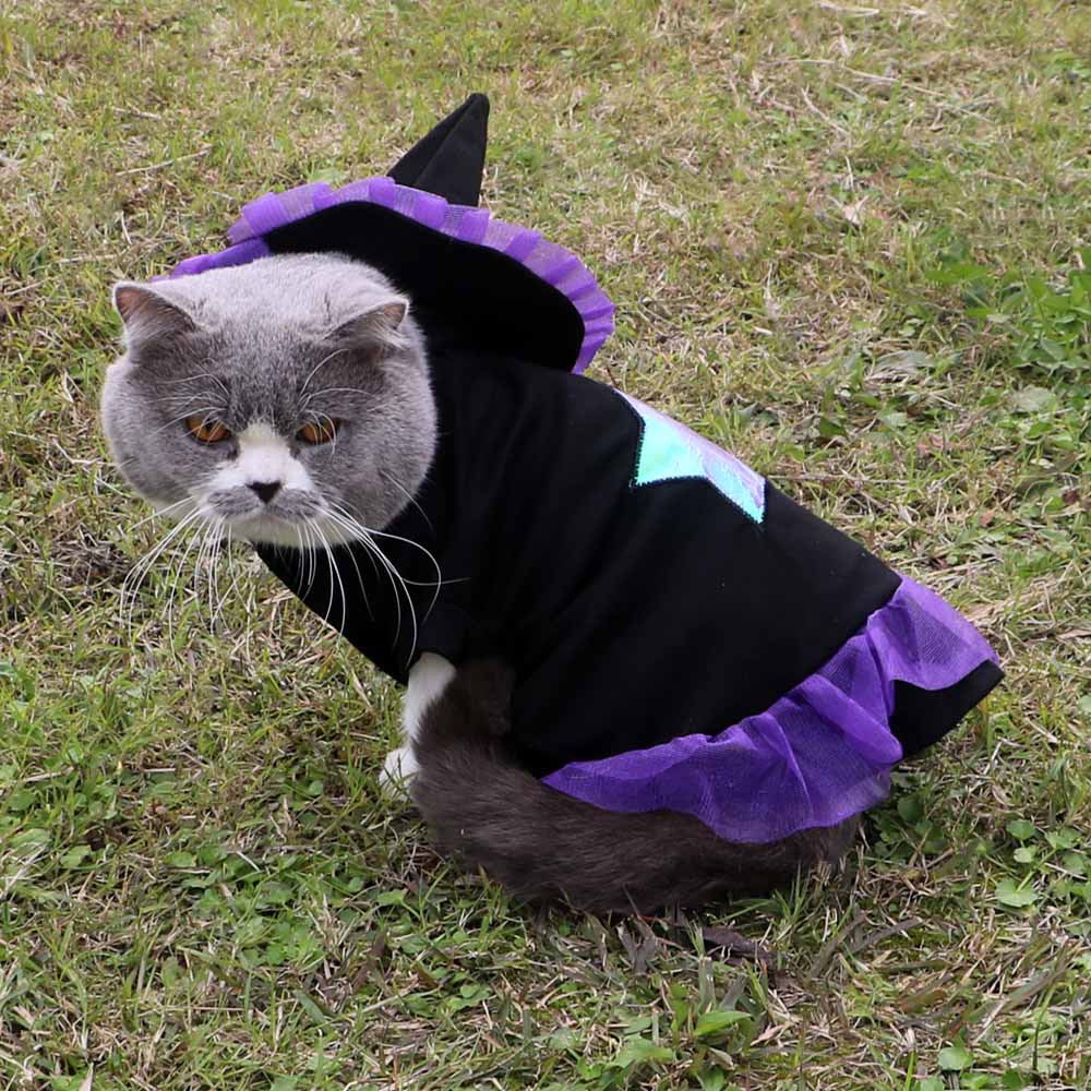 Pet Christmas Wizard Halloween Clothes dog Cat