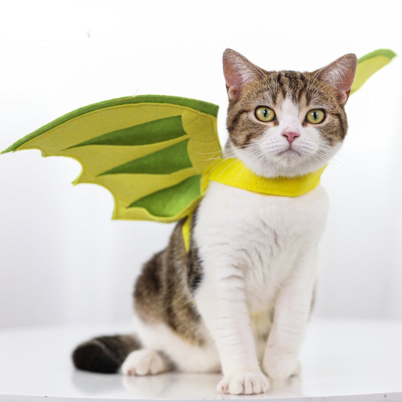 Halloween Pet Dinosaur Wings Makeover