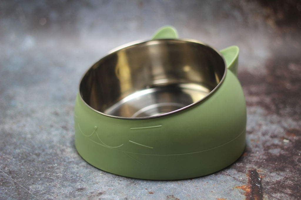 Protective Cervical Cat Bowl Oblique Mouth Pet Bowl