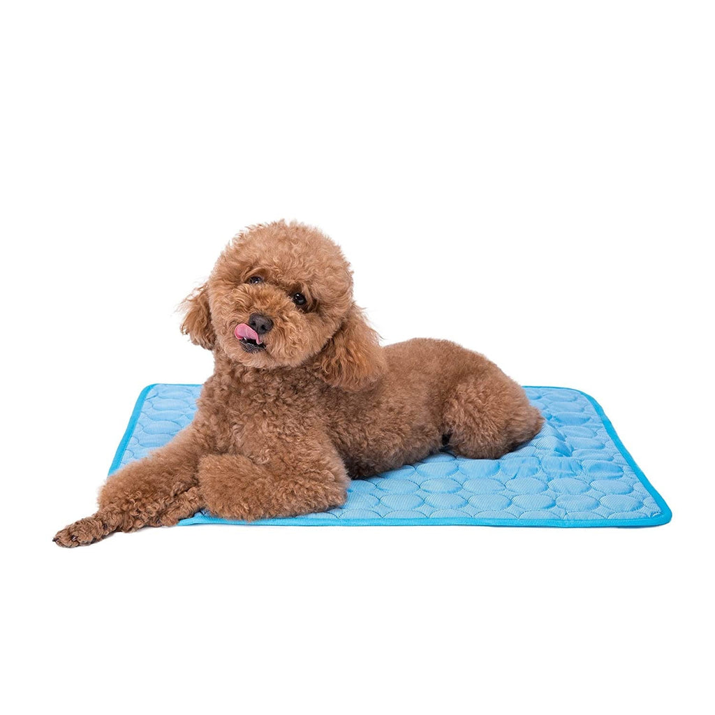 Pet Accessory Cooling Mat. Why Your Pet Needs a Pet Cooling Mat: A Non-Toxic, Lightweight, and Waterproof Solution for Hot Climates