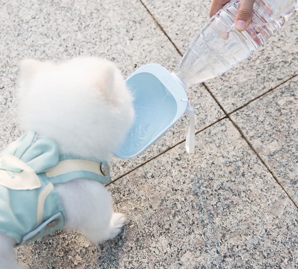 Teddy portable drinking water bottle
