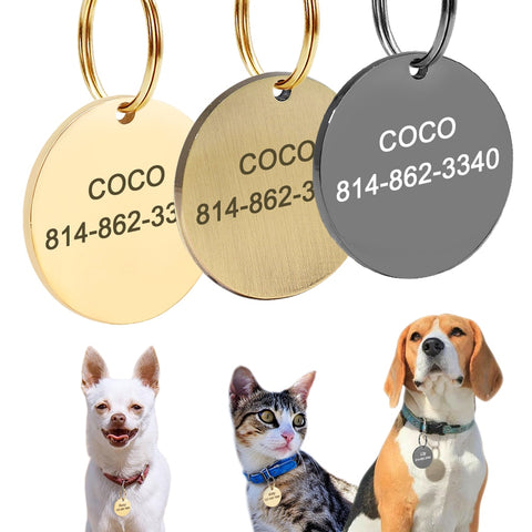 Etiquetas de identificación de acero inoxidable para perro y gato, colgante antipérdida grabado personalizado, accesorios para Collar