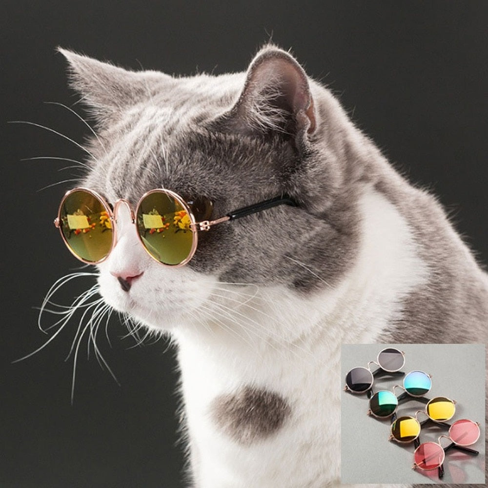 Pet Cat Dog Glasses Pet Products for Little Dog Cat Eye Wear Dog Sunglasses Kitten Accessories Pet Supplies Cat Toy