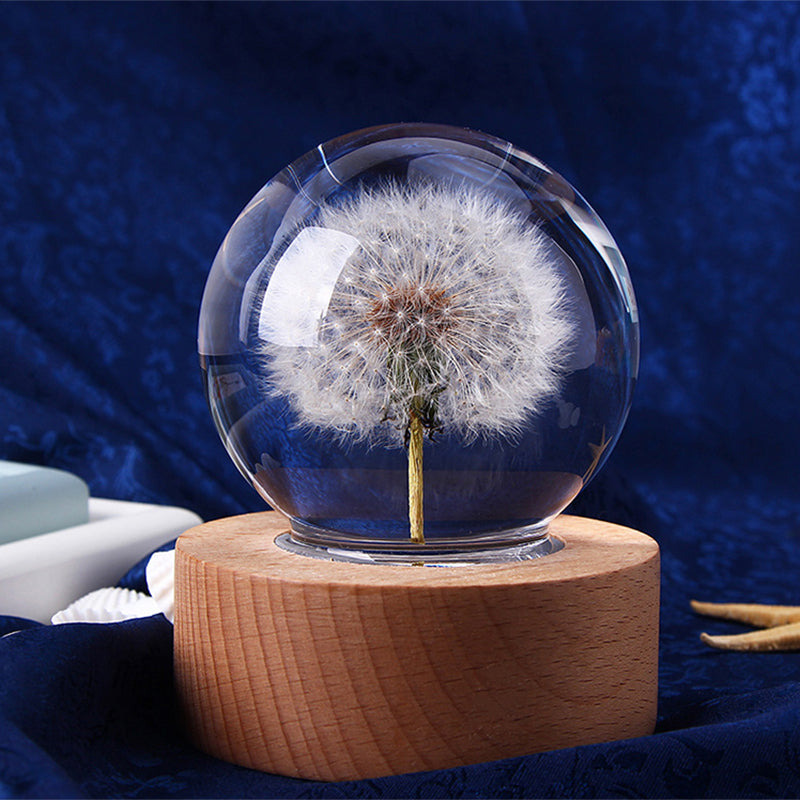 Dandelion crystal ball