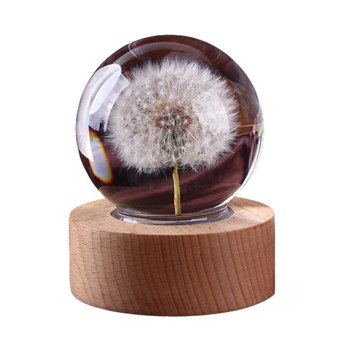 Dandelion crystal ball